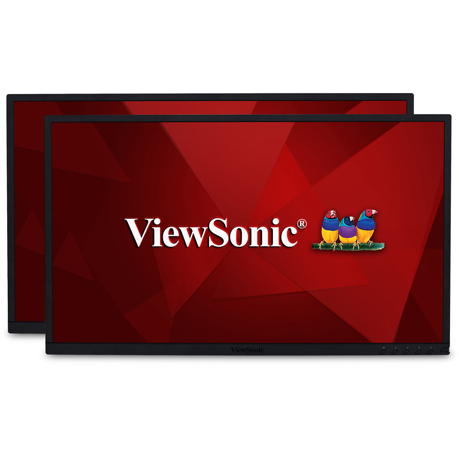ViewSonic VG2248_H2 22" 16:9 IPS Monitor (2-Pack, Without Stands)